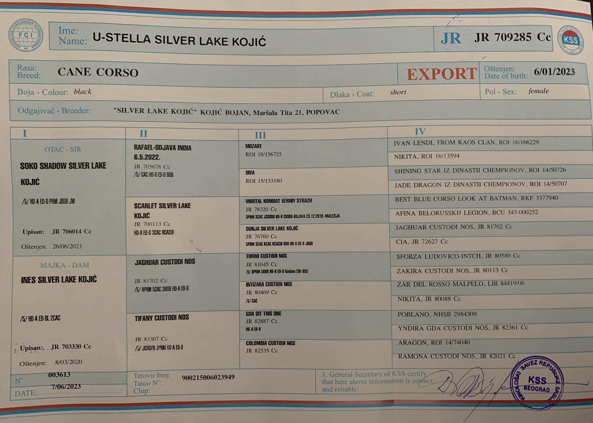 Max - Stella's pedigree
