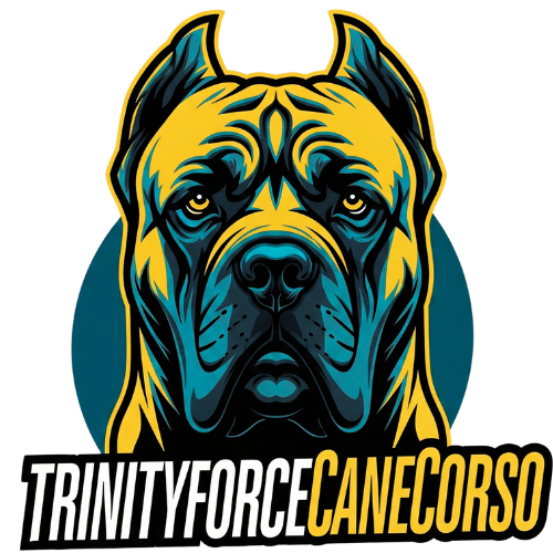 TrinityForce Cane Corso Logo